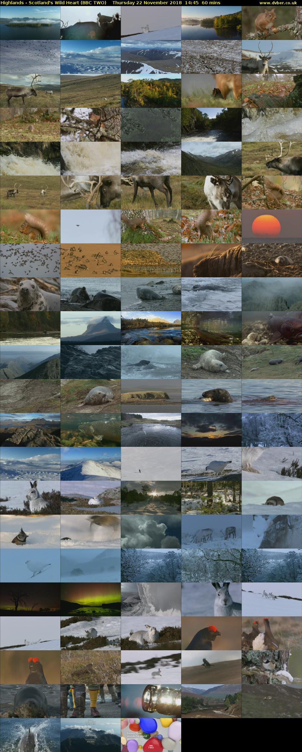 Highlands - Scotland's Wild Heart (BBC TWO) Thursday 22 November 2018 14:45 - 15:45