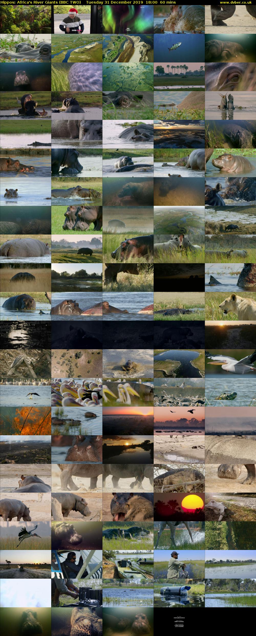 Hippos: Africa's River Giants (BBC TWO) Tuesday 31 December 2019 18:00 - 19:00