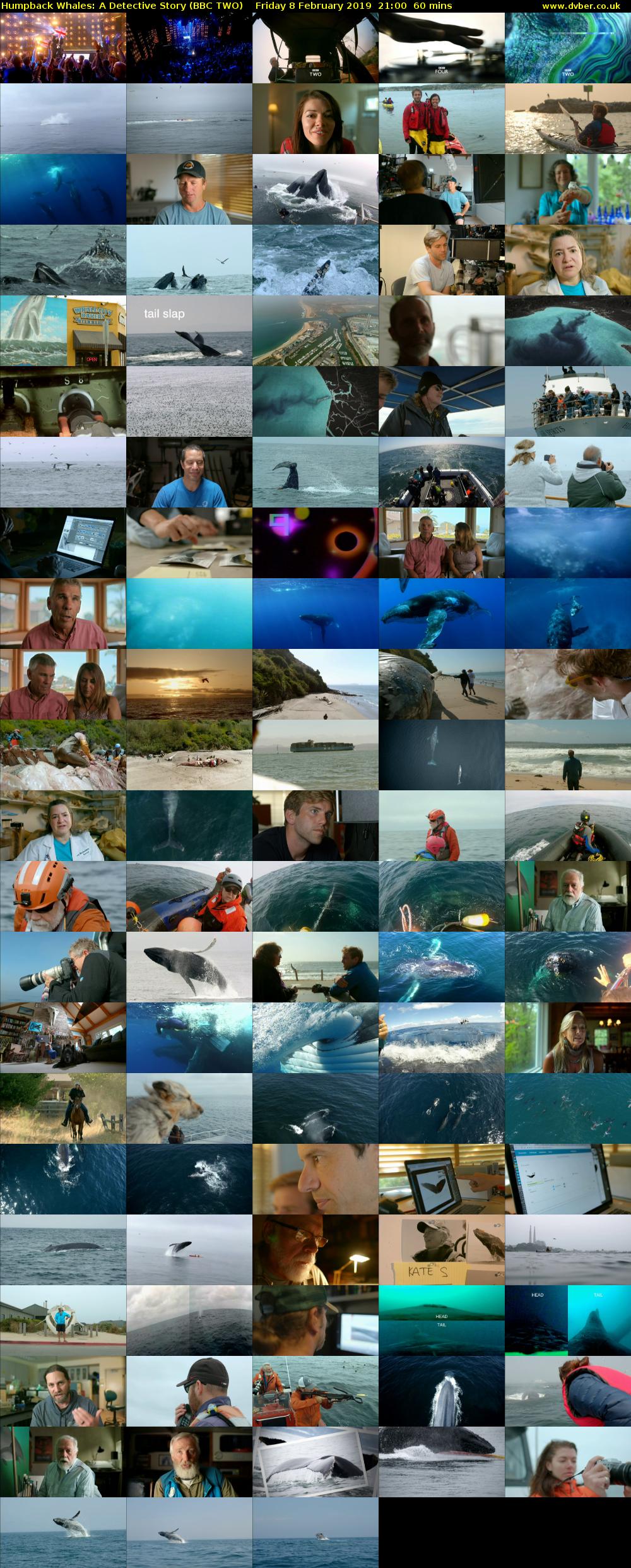 Humpback Whales: A Detective Story (BBC TWO) Friday 8 February 2019 21:00 - 22:00