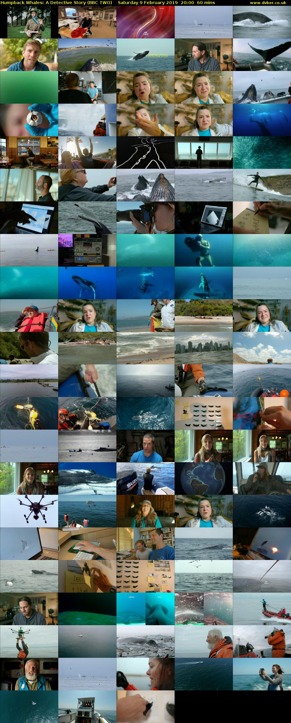 Humpback Whales: A Detective Story (BBC TWO) Saturday 9 February 2019 20:00 - 21:00