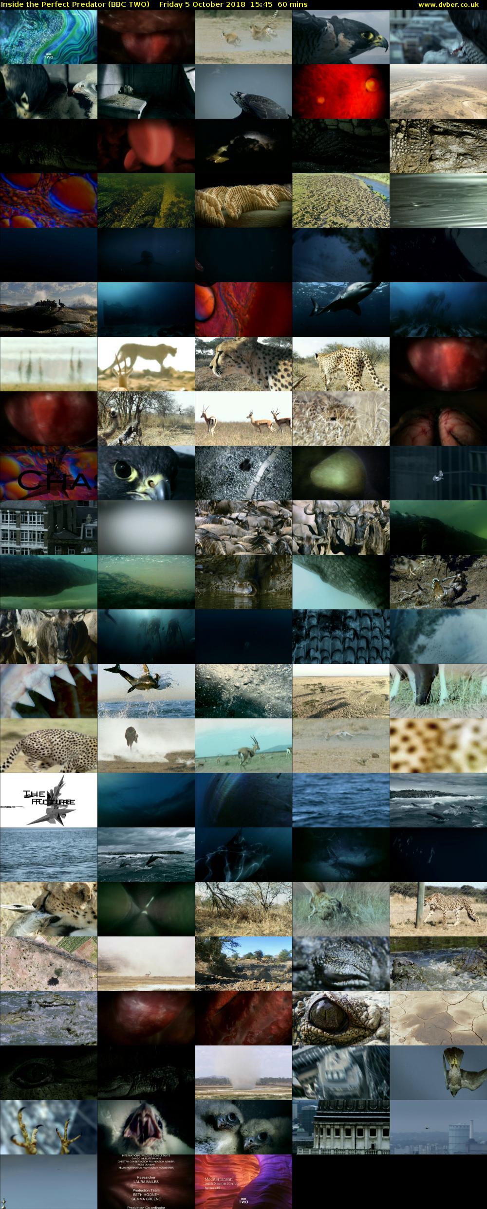 Inside the Perfect Predator (BBC TWO) Friday 5 October 2018 15:45 - 16:45