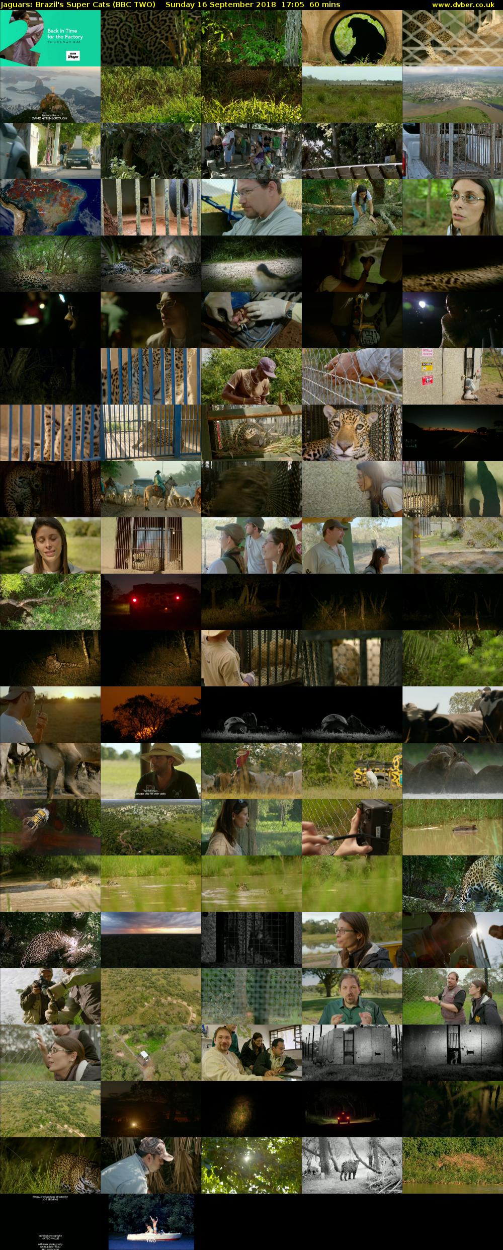 Jaguars: Brazil's Super Cats (BBC TWO) Sunday 16 September 2018 17:05 - 18:05