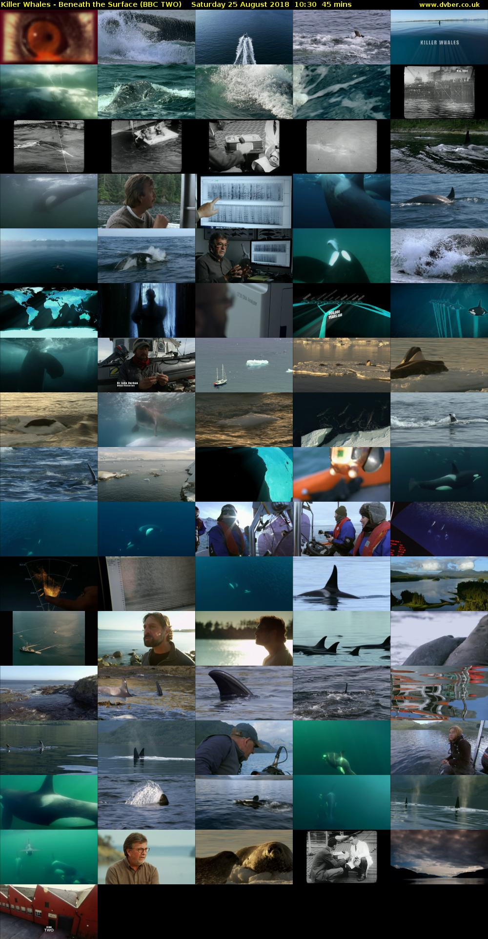 Killer Whales - Beneath the Surface (BBC TWO) Saturday 25 August 2018 10:30 - 11:15