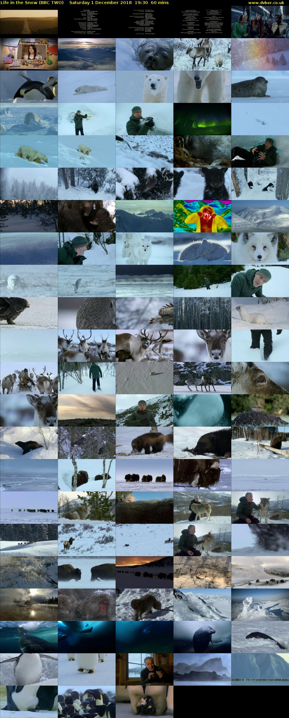 Life in the Snow (BBC TWO) Saturday 1 December 2018 19:30 - 20:30