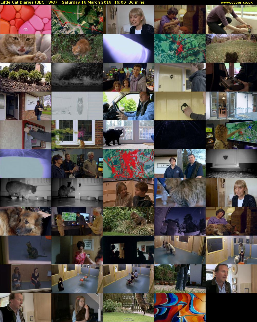 Little Cat Diaries (BBC TWO) Saturday 16 March 2019 16:00 - 16:30