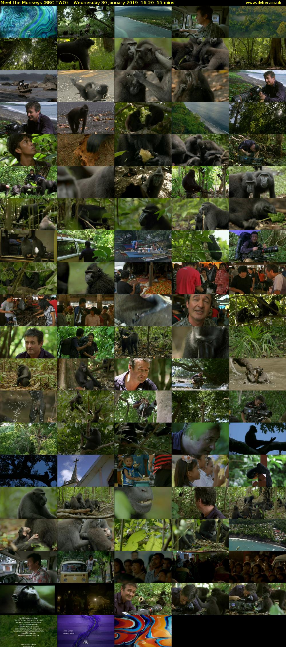 Meet the Monkeys (BBC TWO) Wednesday 30 January 2019 16:20 - 17:15