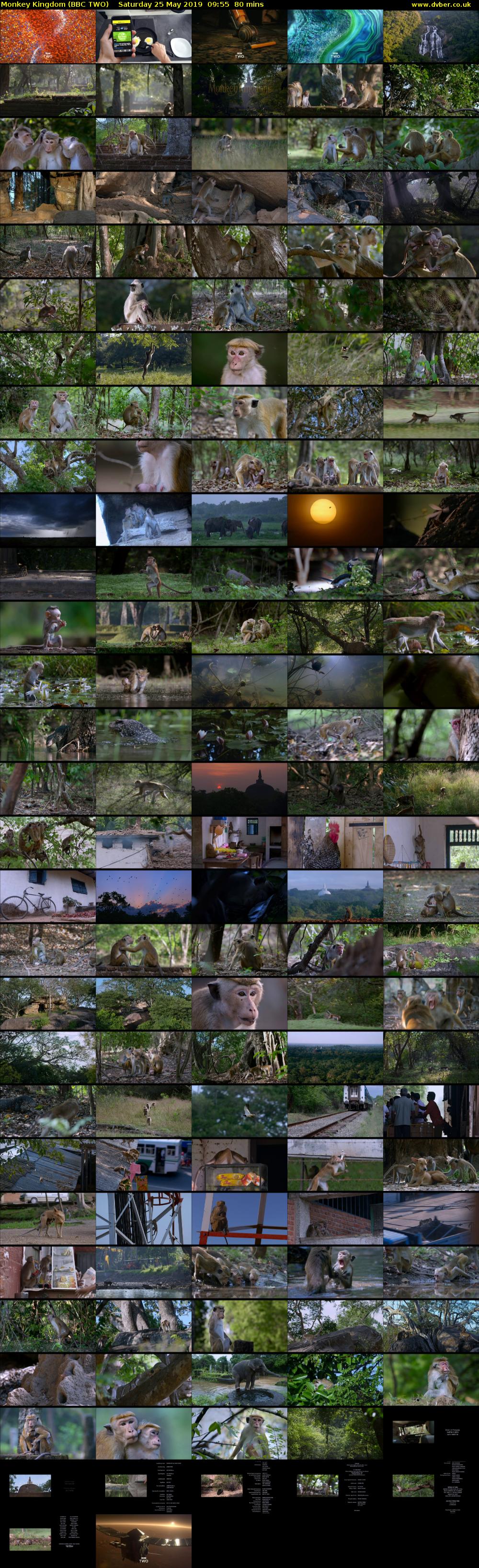 Monkey Kingdom (BBC TWO) Saturday 25 May 2019 09:55 - 11:15