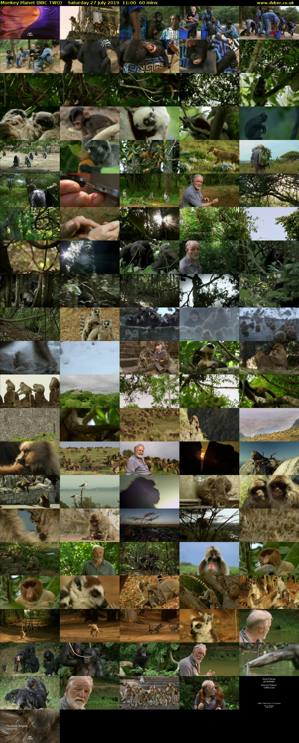 Monkey Planet (BBC TWO) Saturday 27 July 2019 11:00 - 12:00