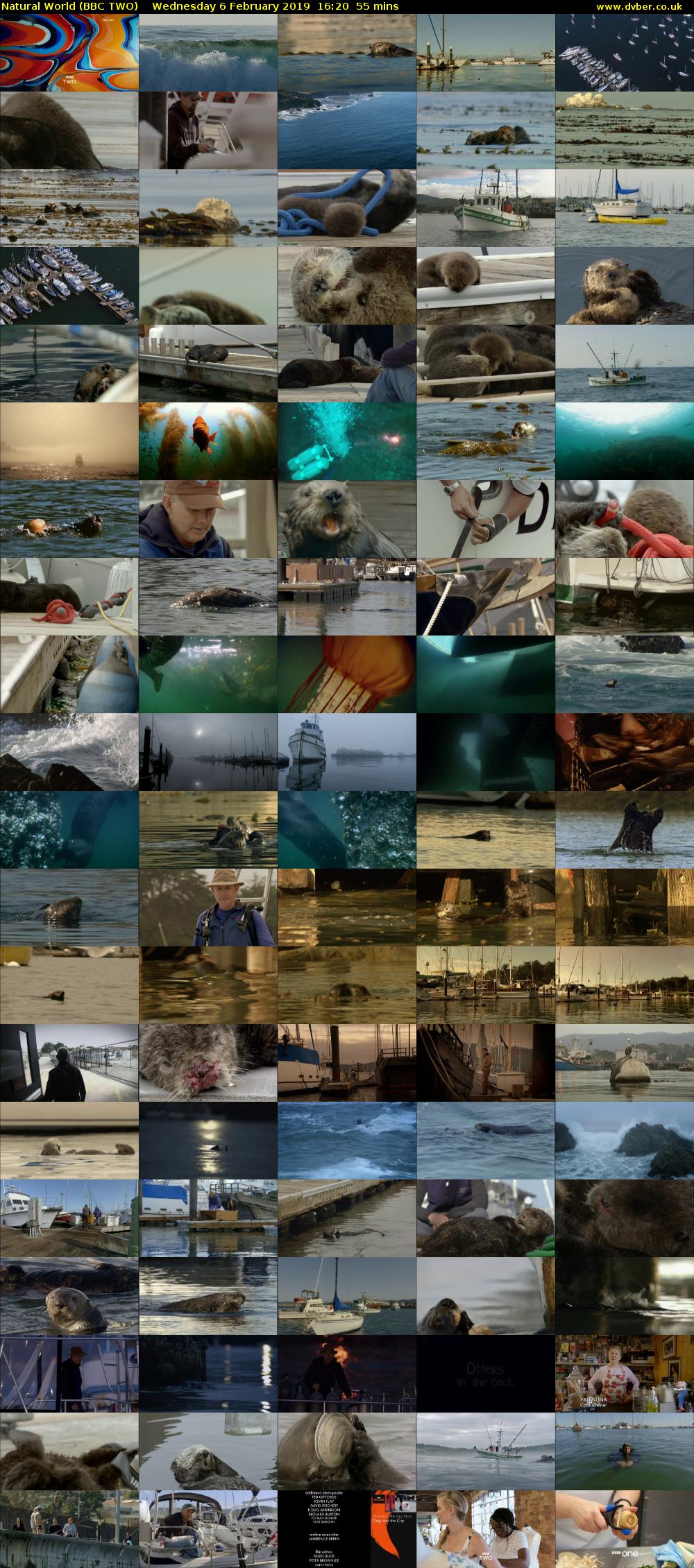 Natural World (BBC TWO) Wednesday 6 February 2019 16:20 - 17:15