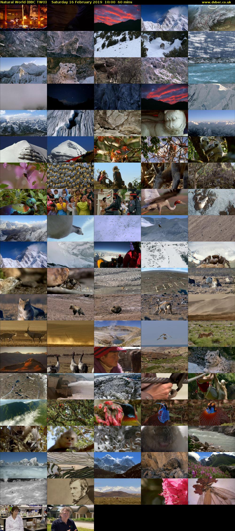 Natural World (BBC TWO) Saturday 16 February 2019 10:00 - 11:00