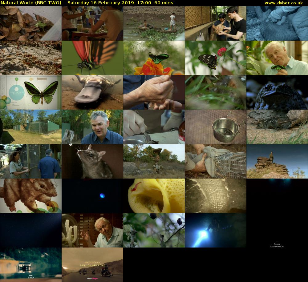 Natural World (BBC TWO) Saturday 16 February 2019 17:00 - 18:00