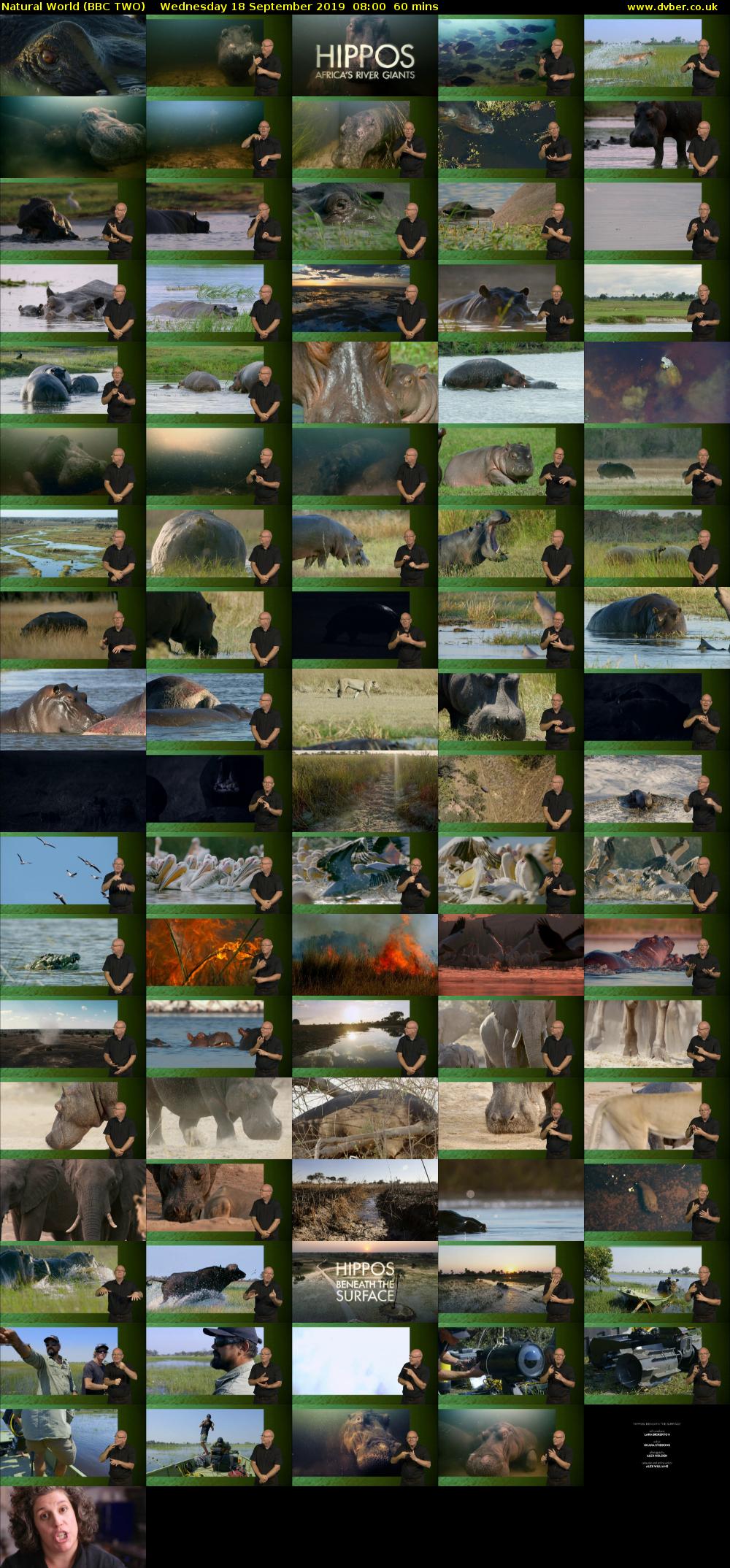 Natural World (BBC TWO) Wednesday 18 September 2019 08:00 - 09:00