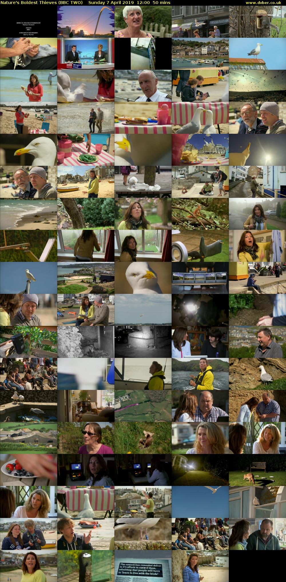 Nature's Boldest Thieves (BBC TWO) Sunday 7 April 2019 12:00 - 12:50
