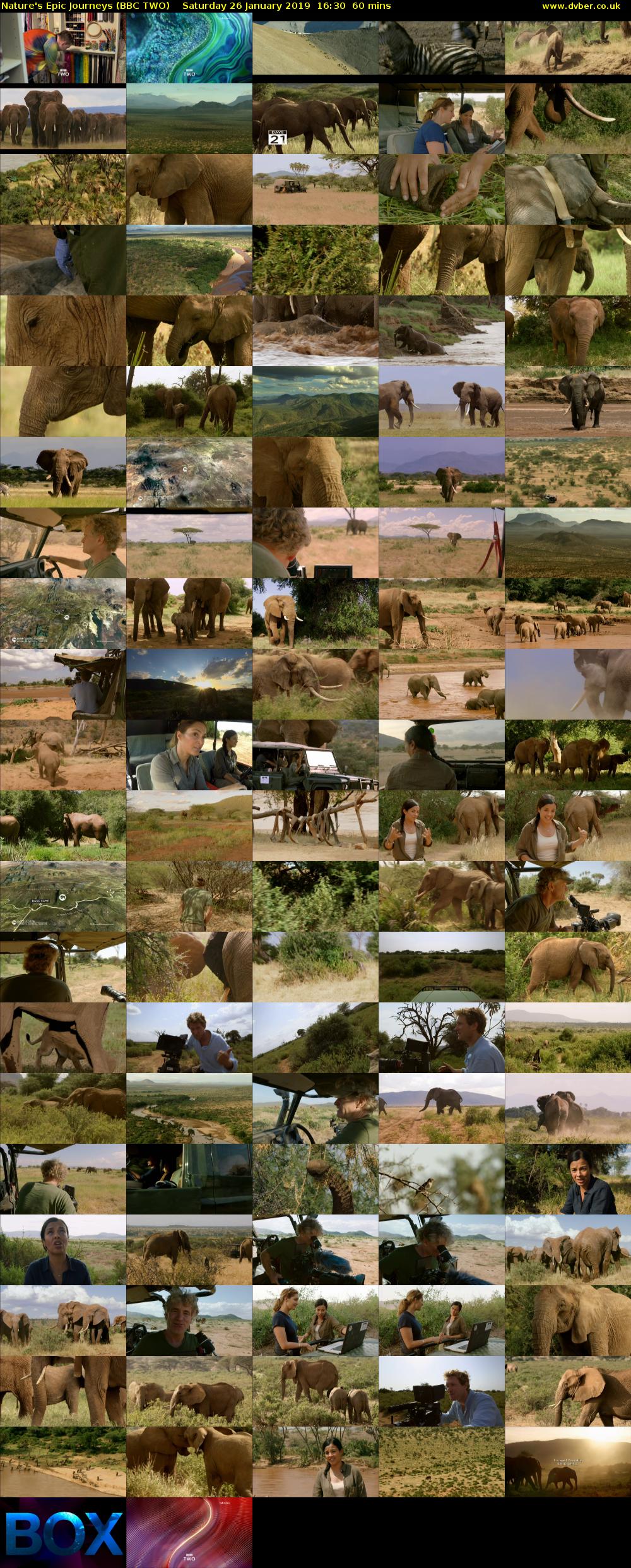 Nature's Epic Journeys (BBC TWO) Saturday 26 January 2019 16:30 - 17:30