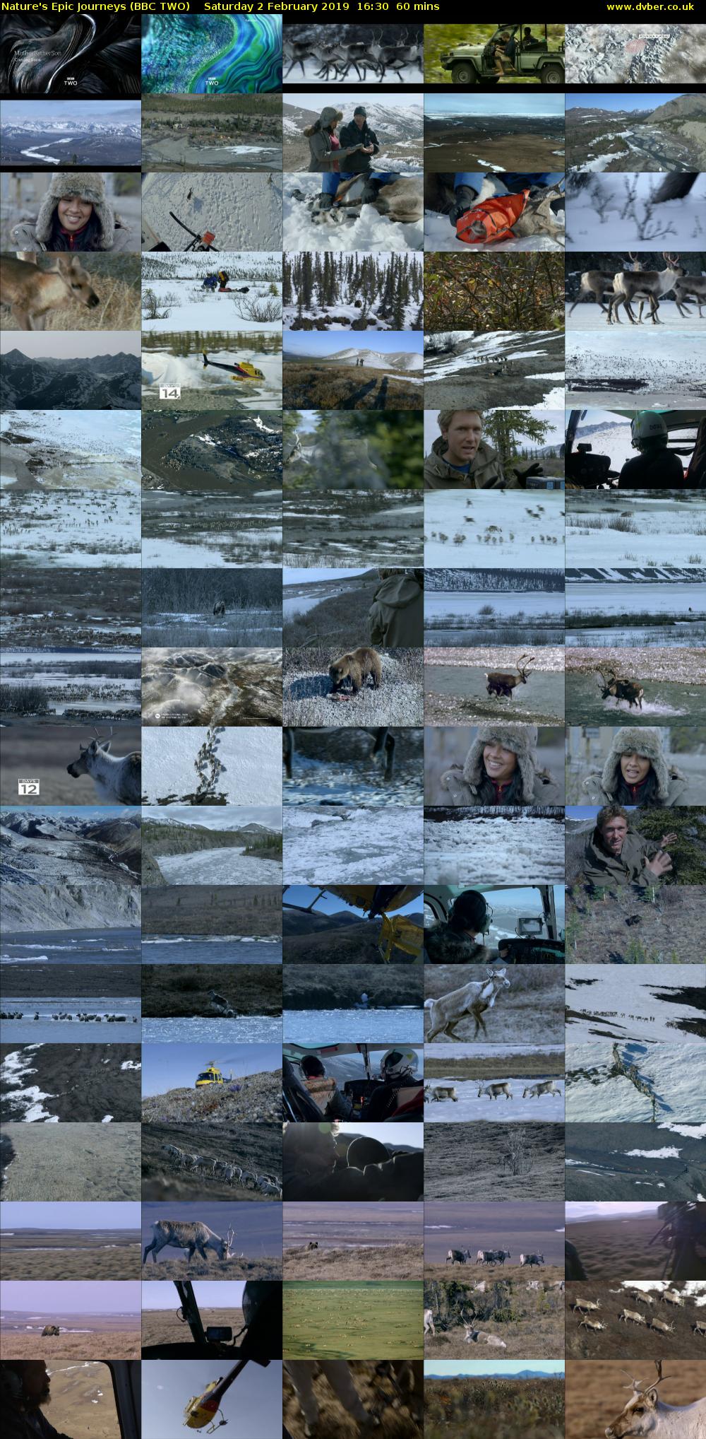 Nature's Epic Journeys (BBC TWO) Saturday 2 February 2019 16:30 - 17:30