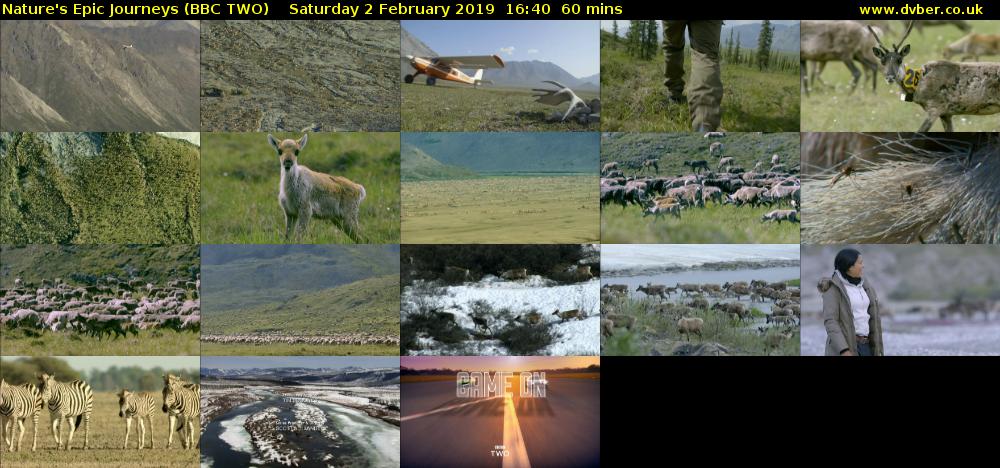 Nature's Epic Journeys (BBC TWO) Saturday 2 February 2019 16:40 - 17:40