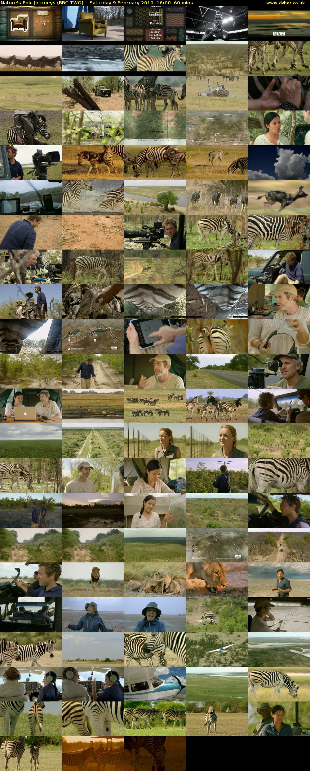 Nature's Epic Journeys (BBC TWO) Saturday 9 February 2019 16:00 - 17:00