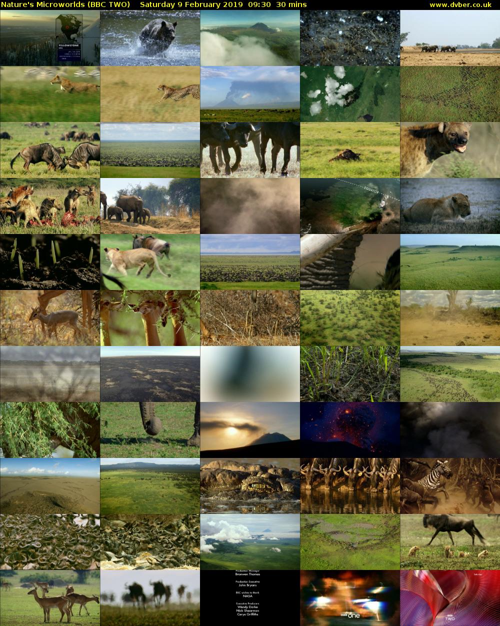 Nature's Microworlds (BBC TWO) Saturday 9 February 2019 09:30 - 10:00