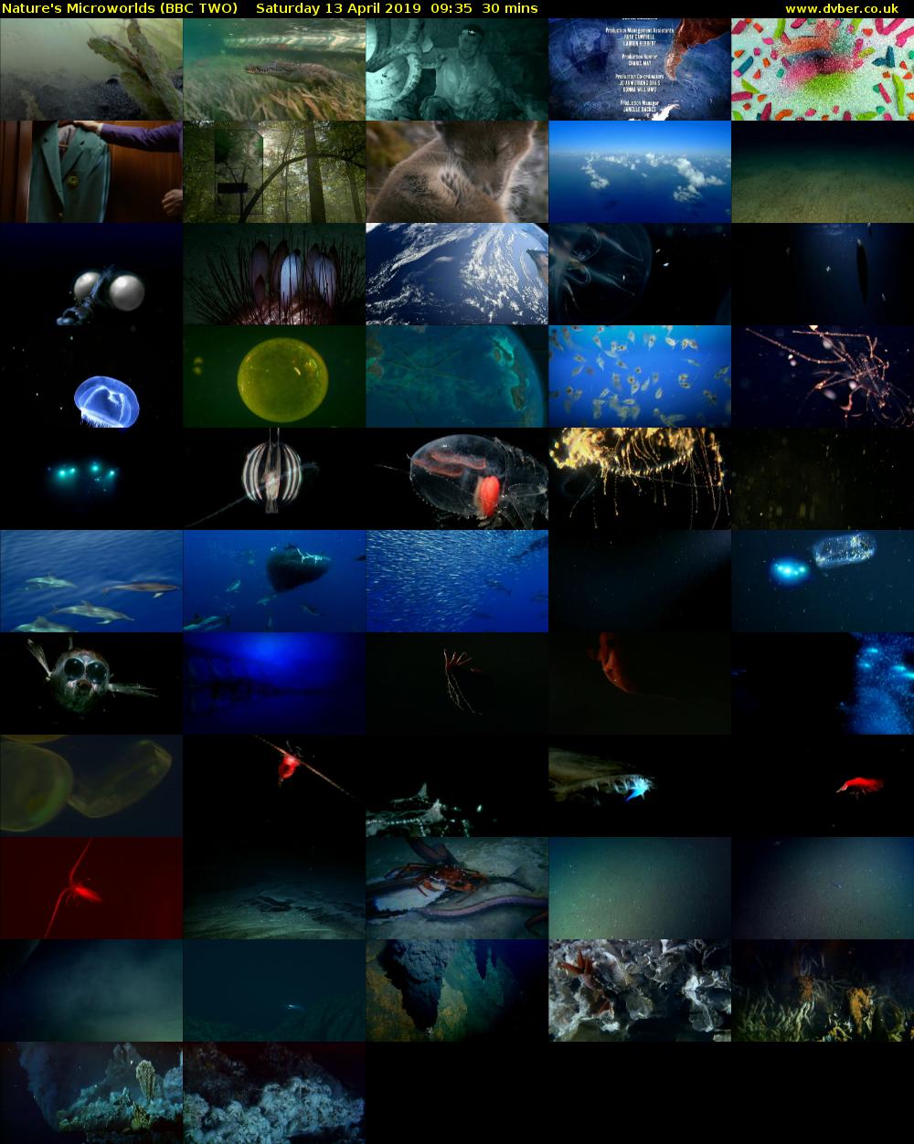 Nature's Microworlds (BBC TWO) Saturday 13 April 2019 09:35 - 10:05