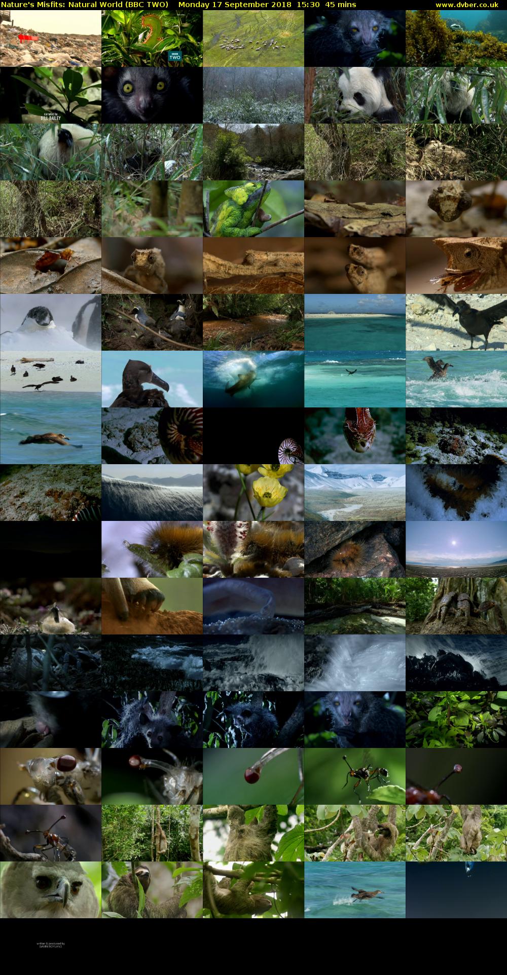 Nature's Misfits: Natural World (BBC TWO) Monday 17 September 2018 15:30 - 16:15