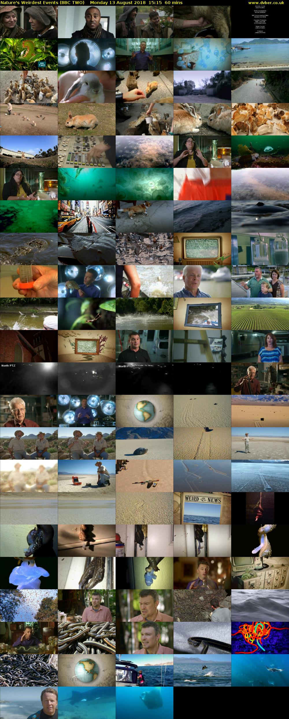 Nature's Weirdest Events (BBC TWO) Monday 13 August 2018 15:15 - 16:15