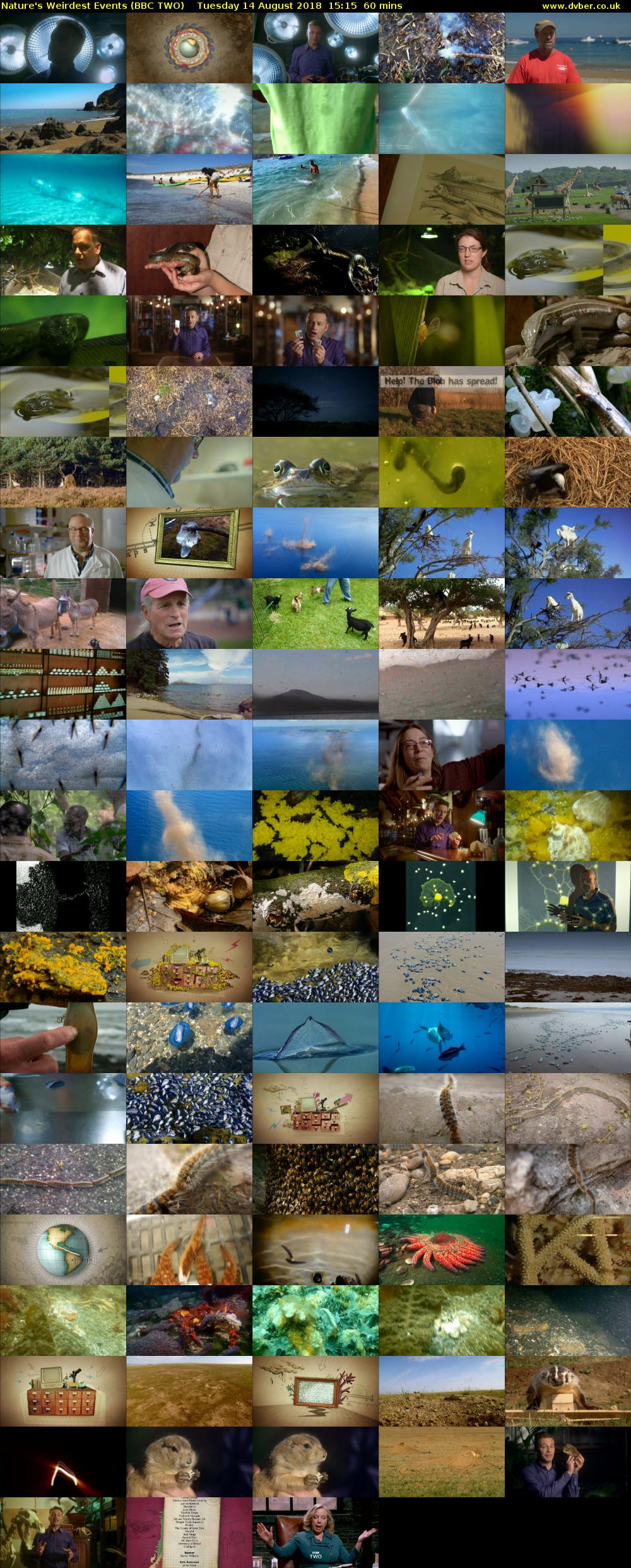 Nature's Weirdest Events (BBC TWO) Tuesday 14 August 2018 15:15 - 16:15