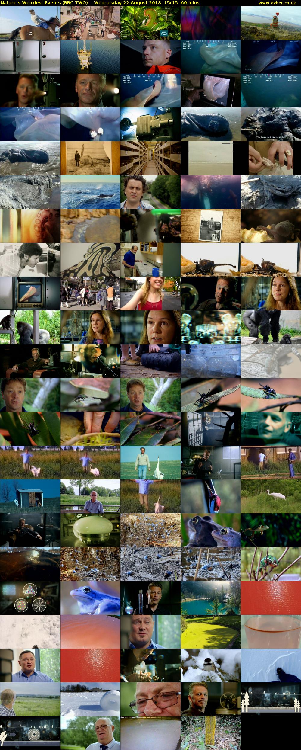 Nature's Weirdest Events (BBC TWO) Wednesday 22 August 2018 15:15 - 16:15