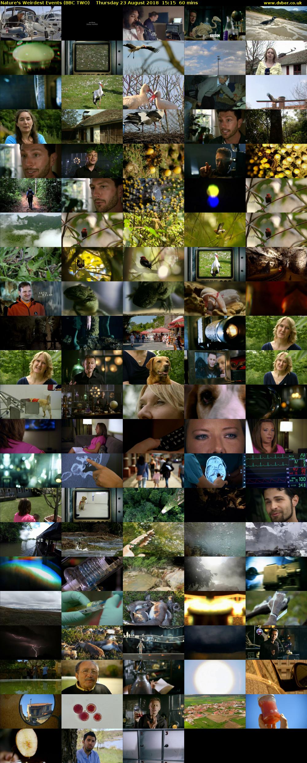 Nature's Weirdest Events (BBC TWO) Thursday 23 August 2018 15:15 - 16:15