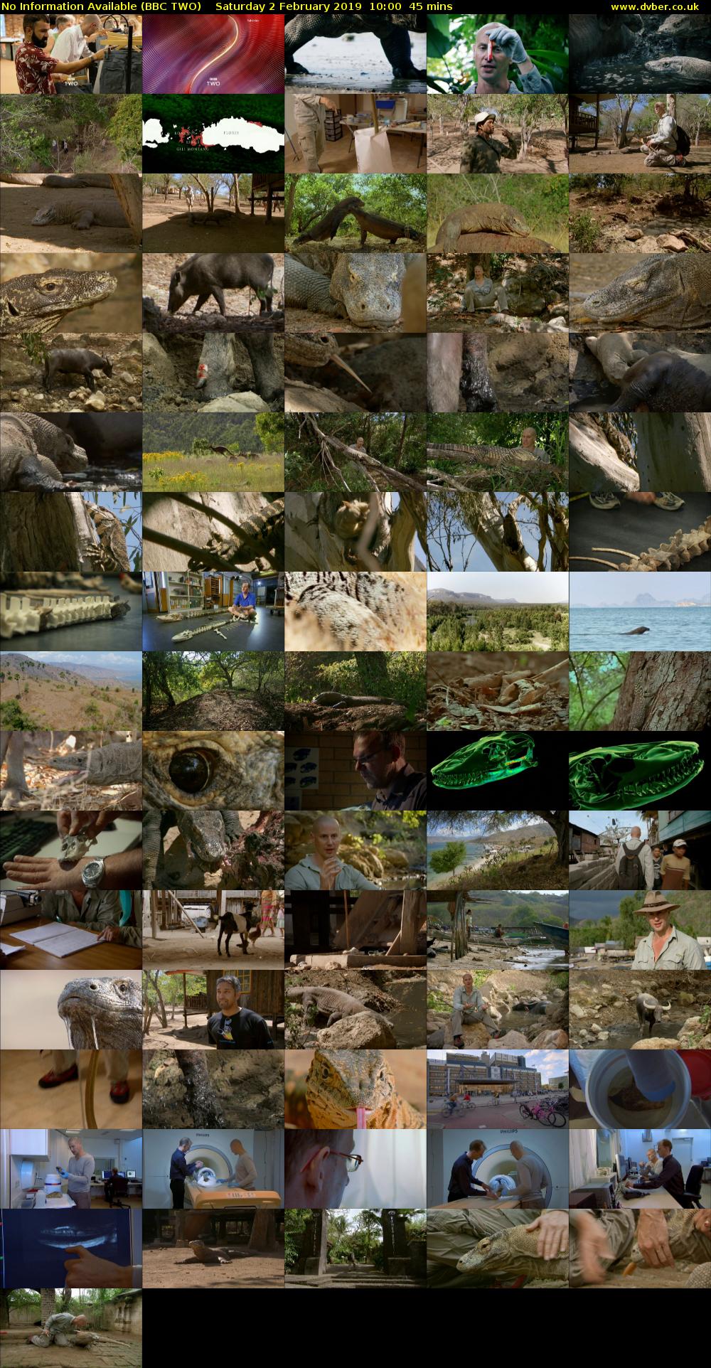 No Information Available (BBC TWO) Saturday 2 February 2019 10:00 - 10:45