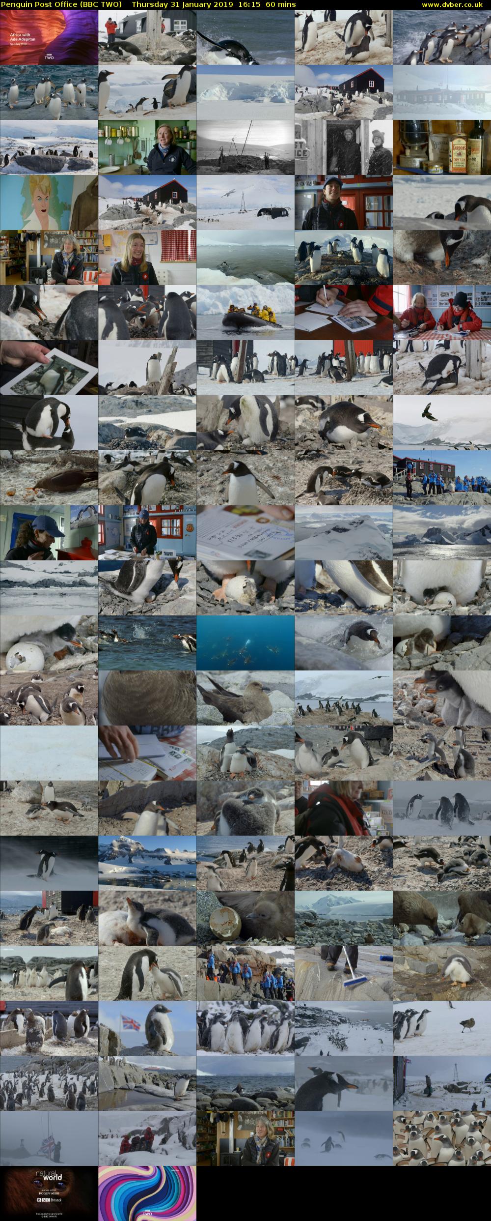 Penguin Post Office (BBC TWO) Thursday 31 January 2019 16:15 - 17:15