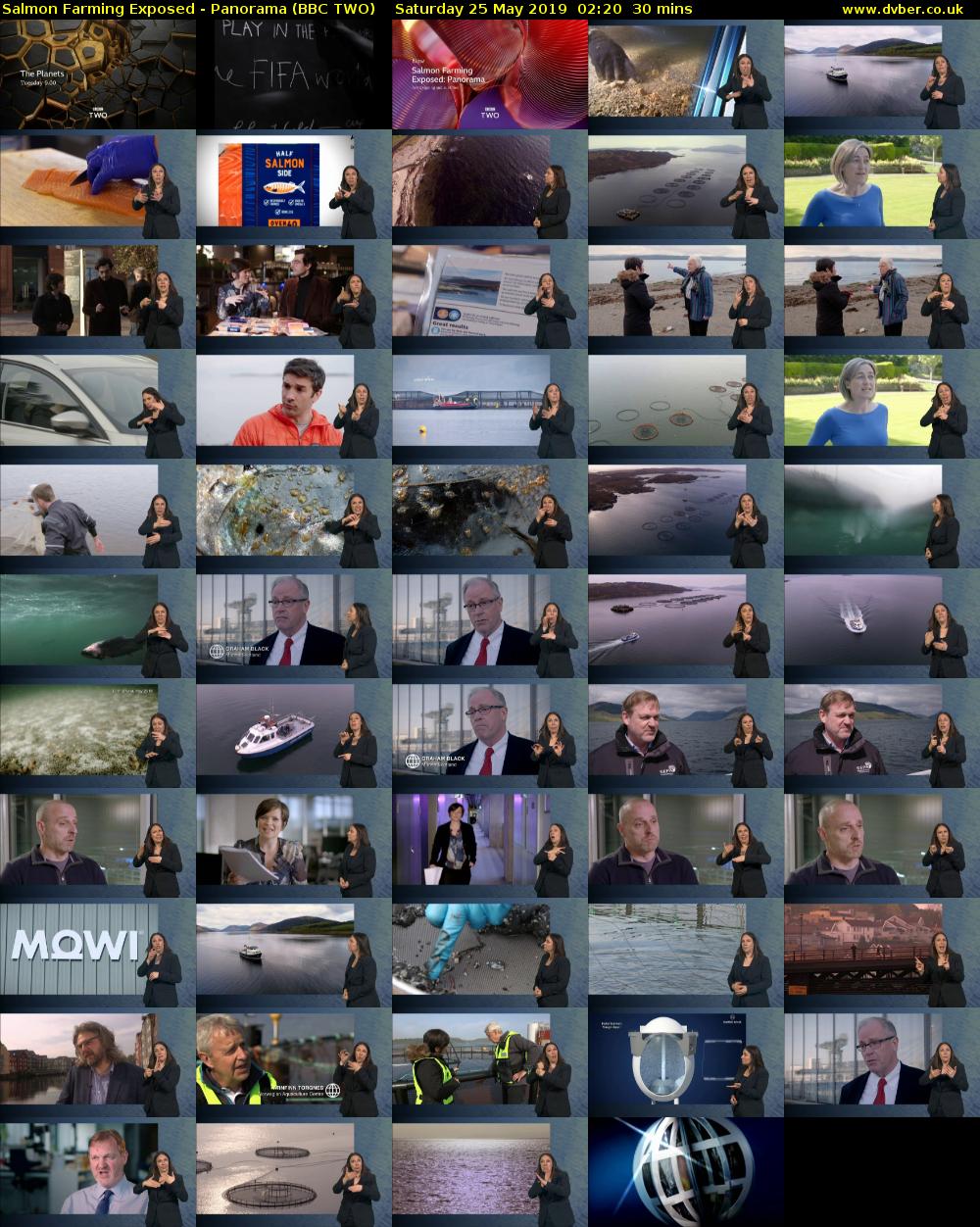 Salmon Farming Exposed - Panorama (BBC TWO) Saturday 25 May 2019 02:20 - 02:50
