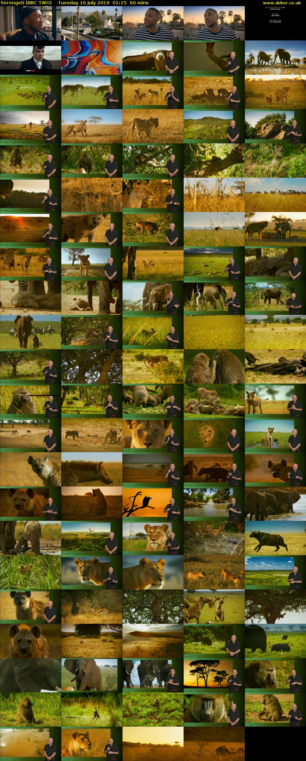 Serengeti (BBC TWO) Tuesday 16 July 2019 01:15 - 02:15
