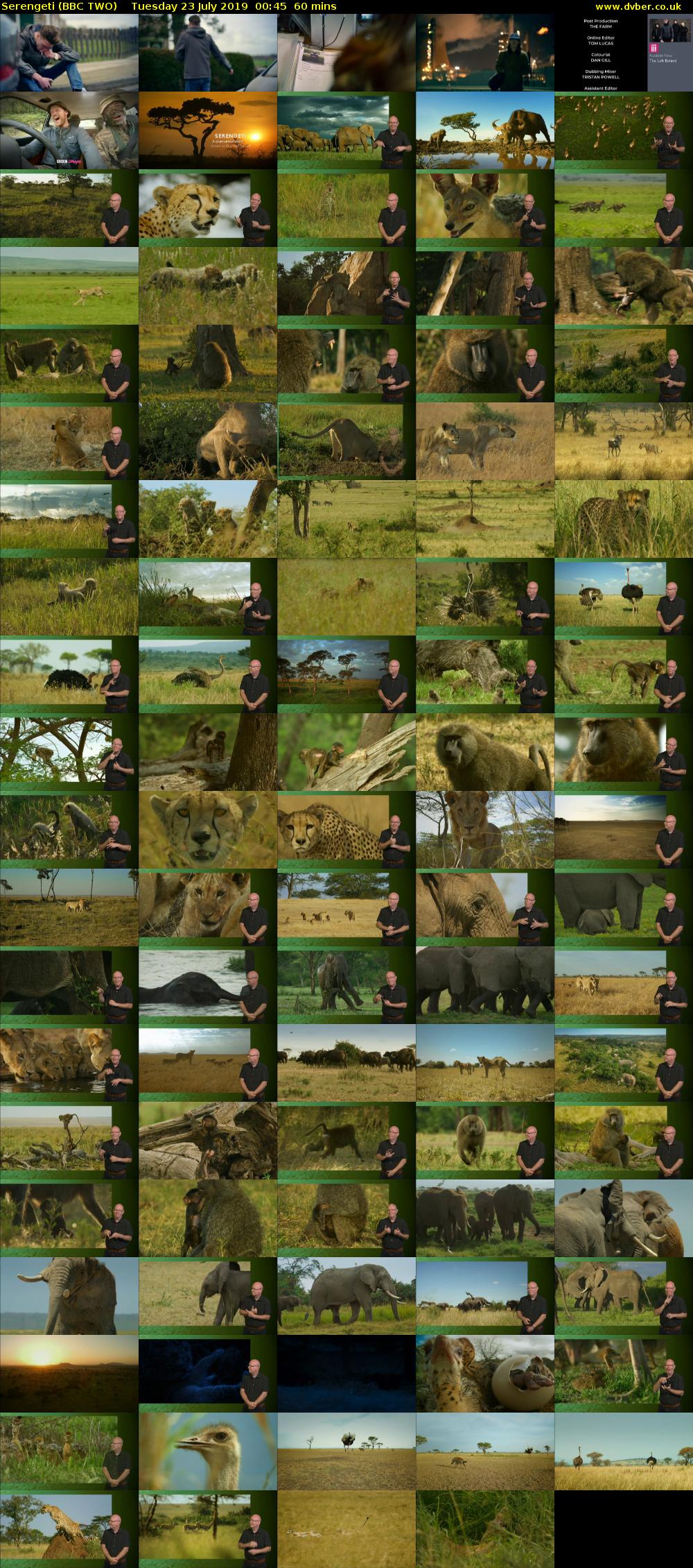Serengeti (BBC TWO) Tuesday 23 July 2019 00:45 - 01:45