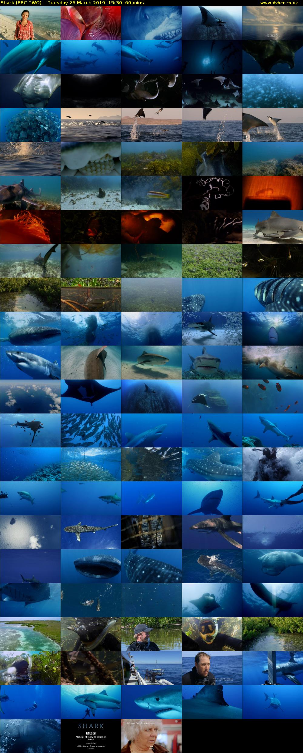 Shark (BBC TWO) Tuesday 26 March 2019 15:30 - 16:30