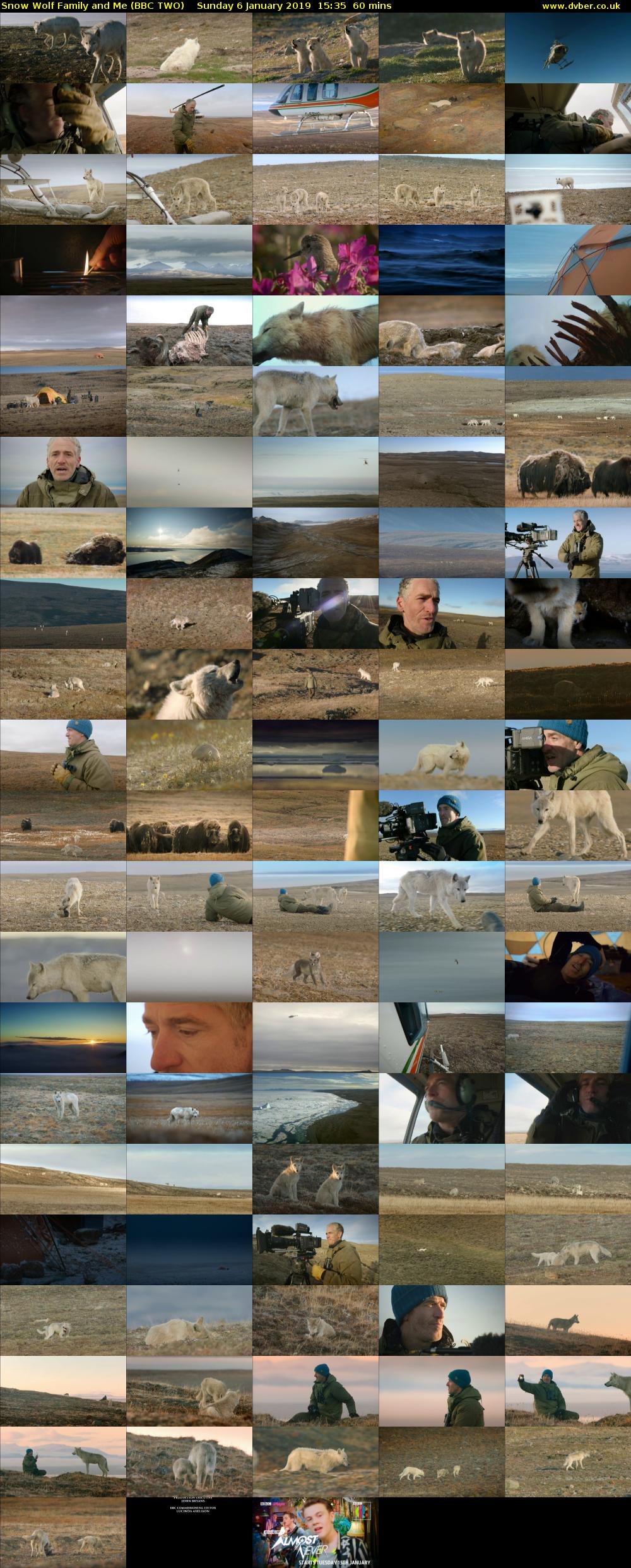 Snow Wolf Family and Me (BBC TWO) Sunday 6 January 2019 15:35 - 16:35