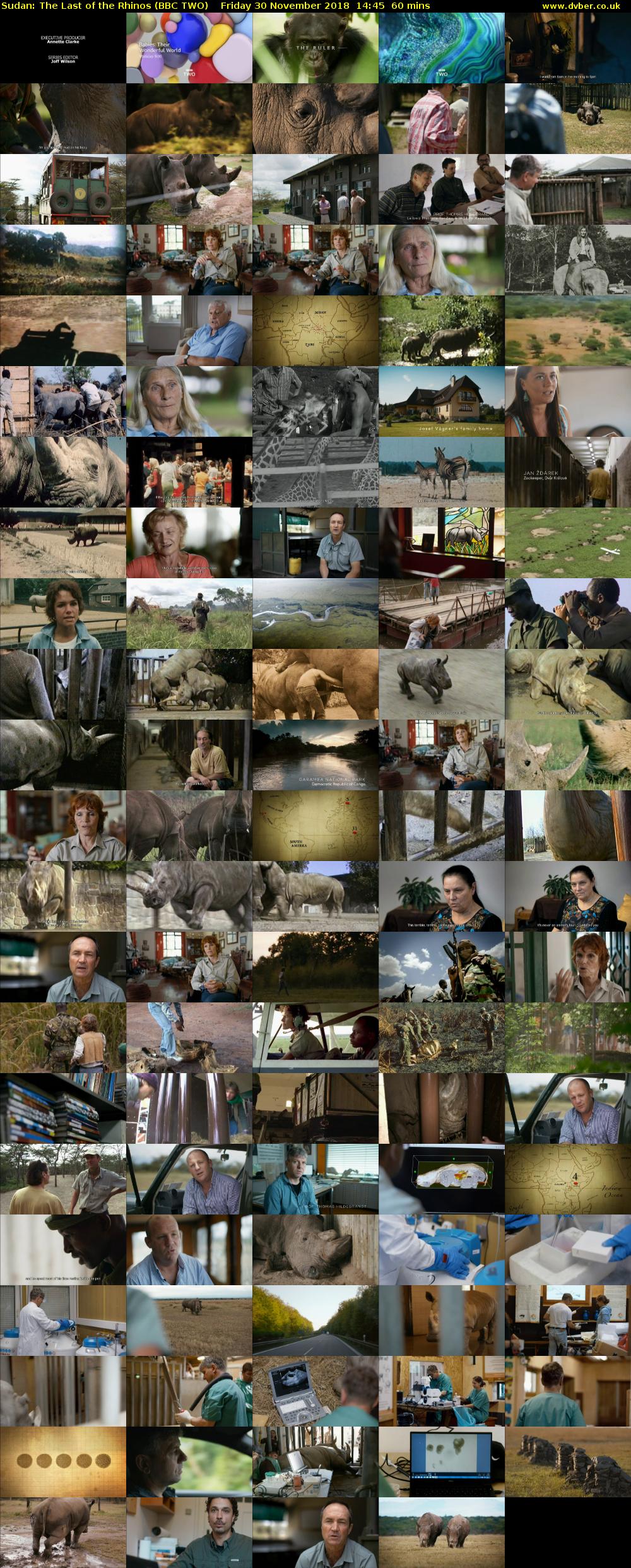 Sudan: The Last of the Rhinos (BBC TWO) Friday 30 November 2018 14:45 - 15:45