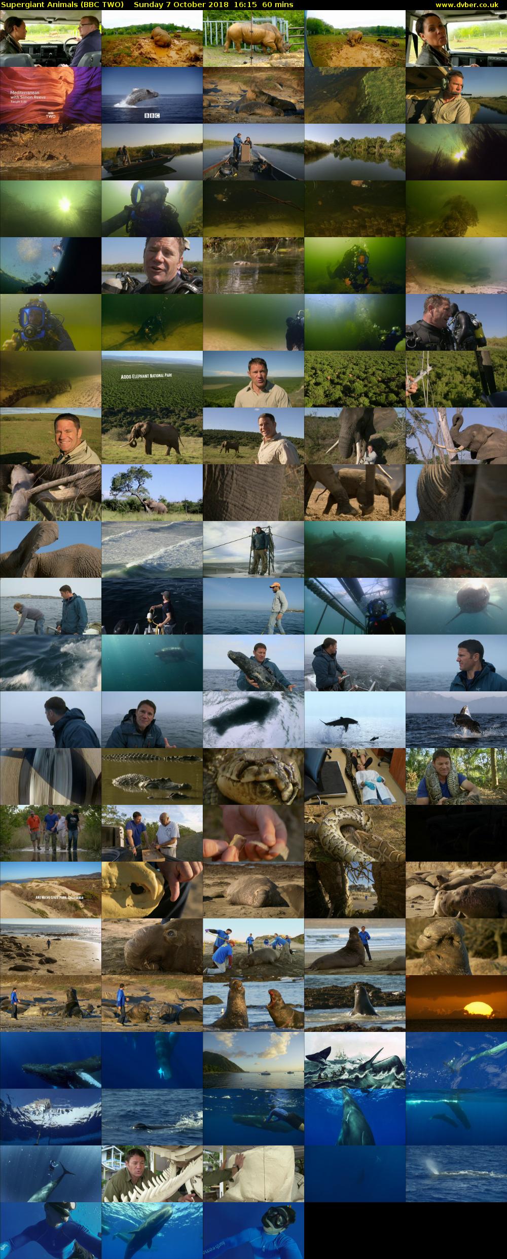 Supergiant Animals (BBC TWO) Sunday 7 October 2018 16:15 - 17:15
