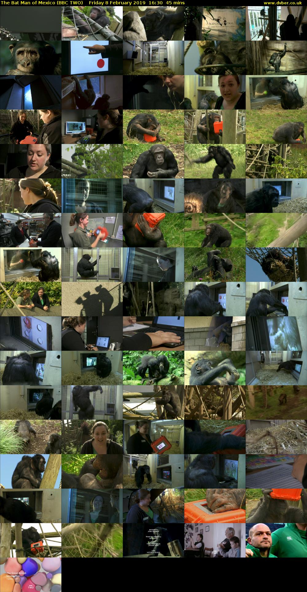 The Bat Man of Mexico (BBC TWO) Friday 8 February 2019 16:30 - 17:15