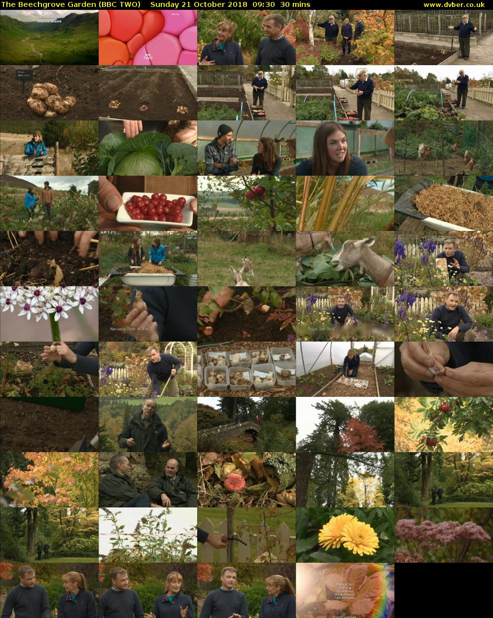 The Beechgrove Garden (BBC TWO) Sunday 21 October 2018 09:30 - 10:00