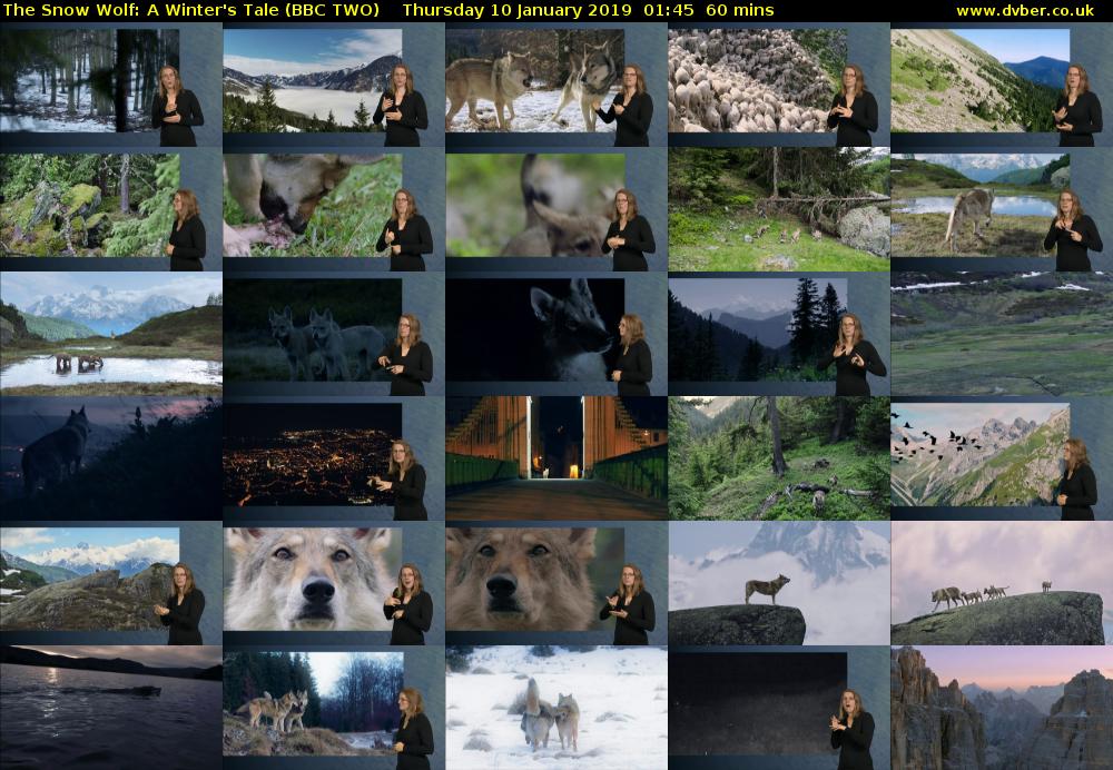 The Snow Wolf: A Winter's Tale (BBC TWO) Thursday 10 January 2019 01:45 - 02:45