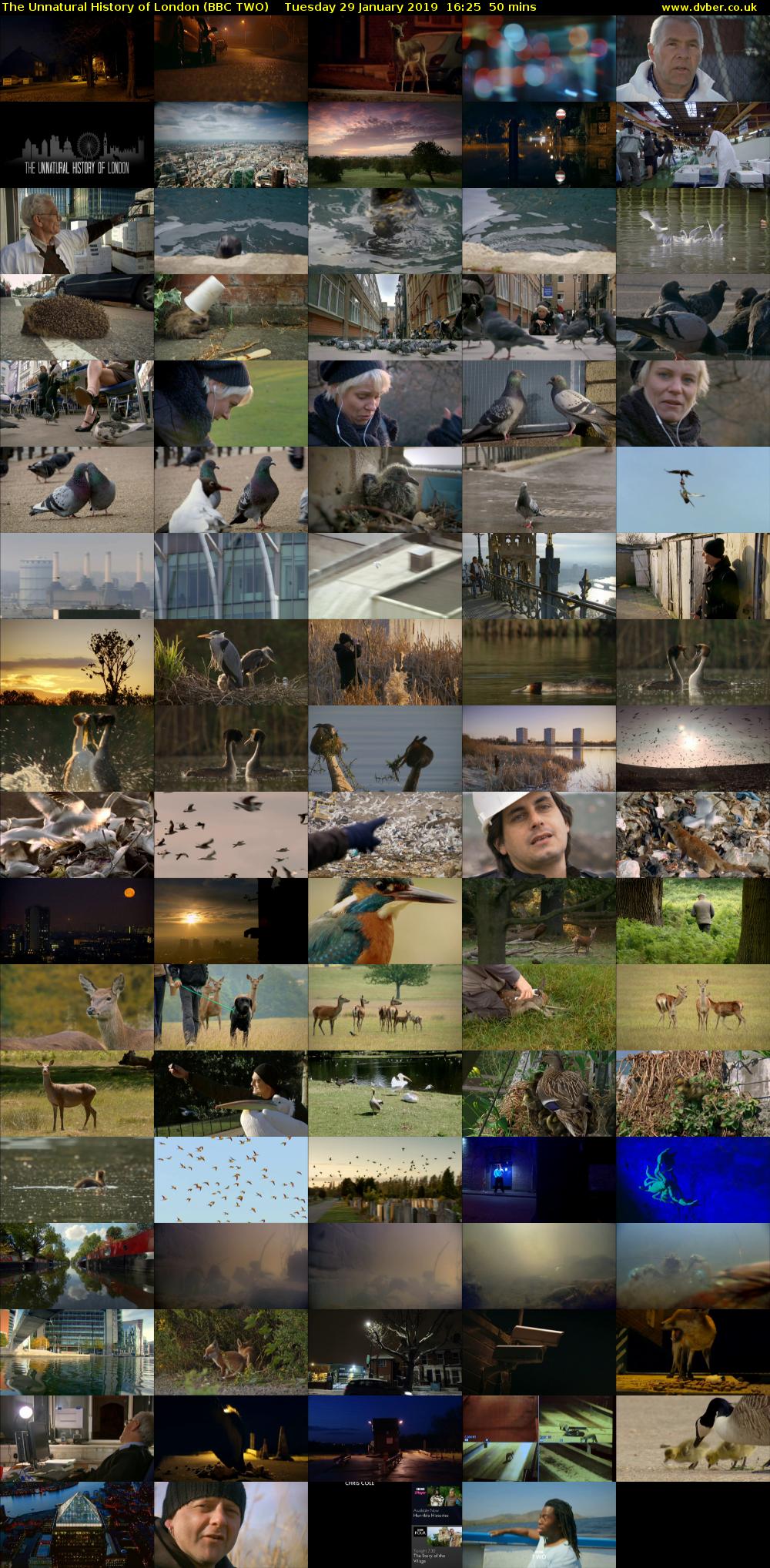 The Unnatural History of London (BBC TWO) Tuesday 29 January 2019 16:25 - 17:15