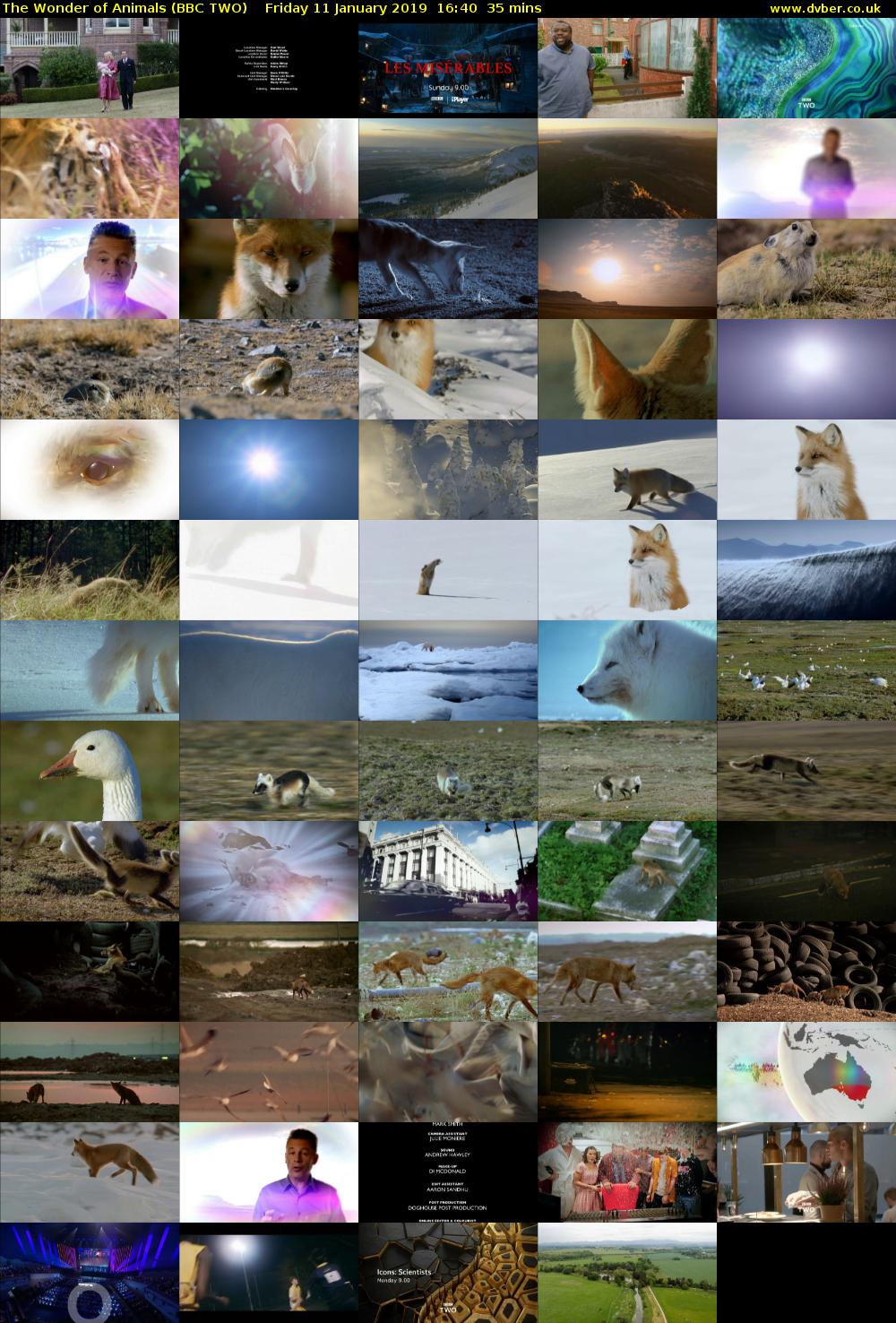 The Wonder of Animals (BBC TWO) Friday 11 January 2019 16:40 - 17:15