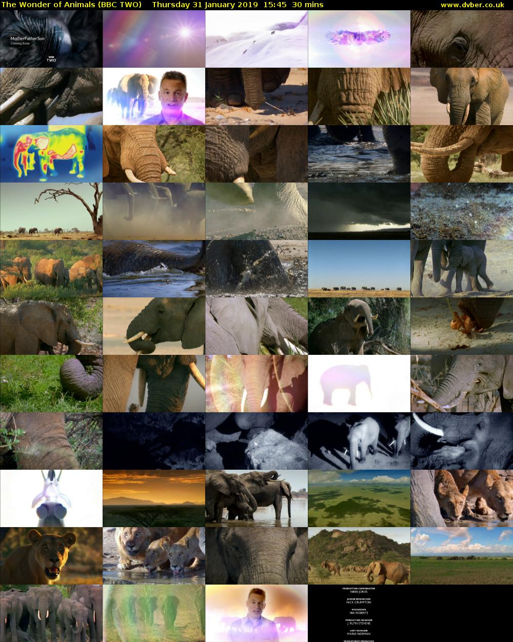 The Wonder of Animals (BBC TWO) Thursday 31 January 2019 15:45 - 16:15