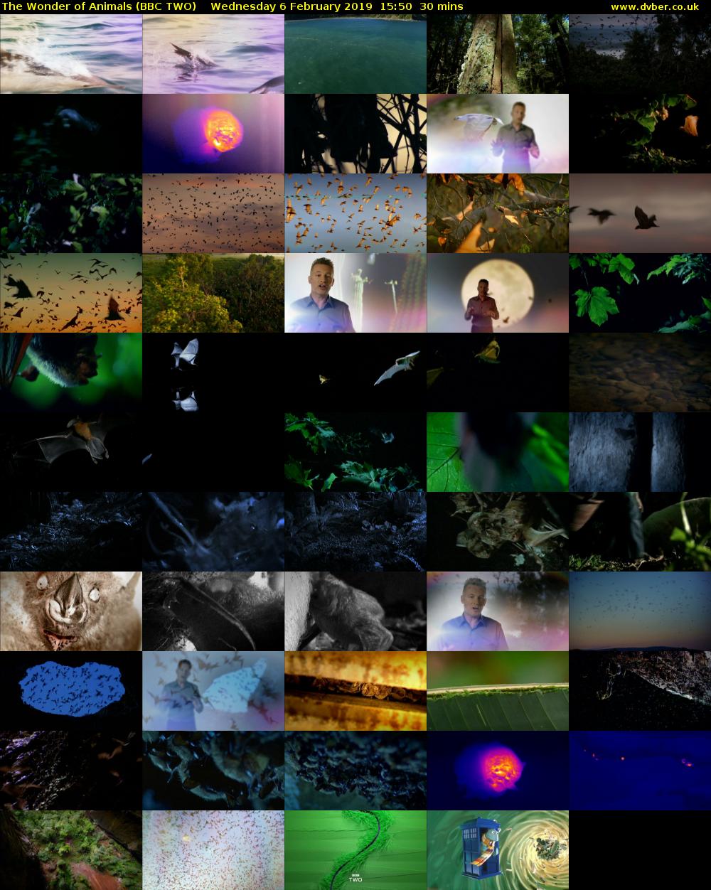 The Wonder of Animals (BBC TWO) Wednesday 6 February 2019 15:50 - 16:20