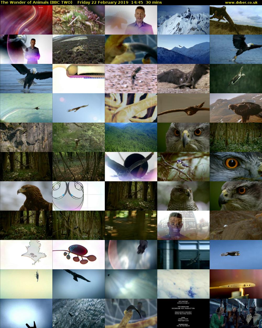 The Wonder of Animals (BBC TWO) Friday 22 February 2019 14:45 - 15:15
