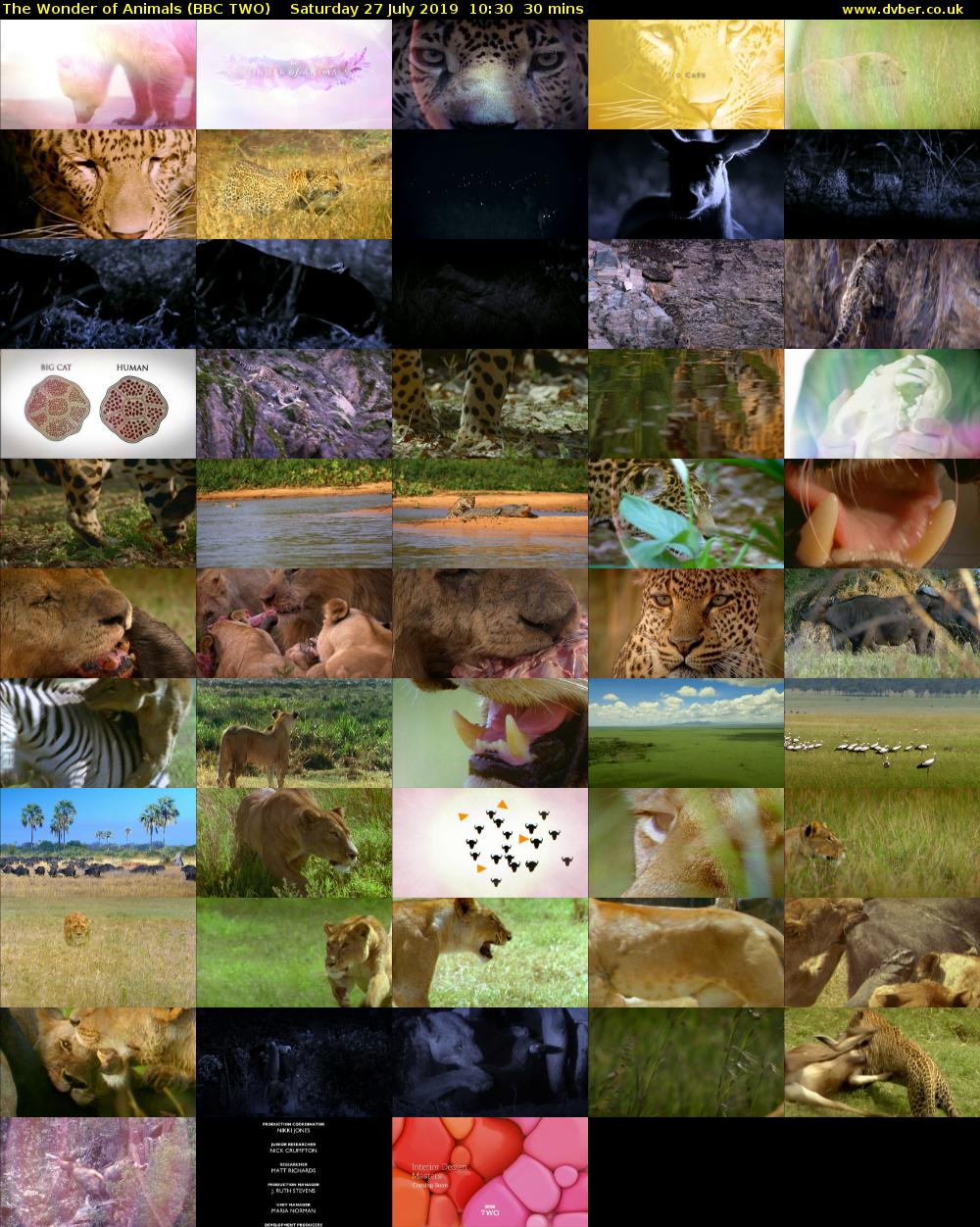 The Wonder of Animals (BBC TWO) Saturday 27 July 2019 10:30 - 11:00