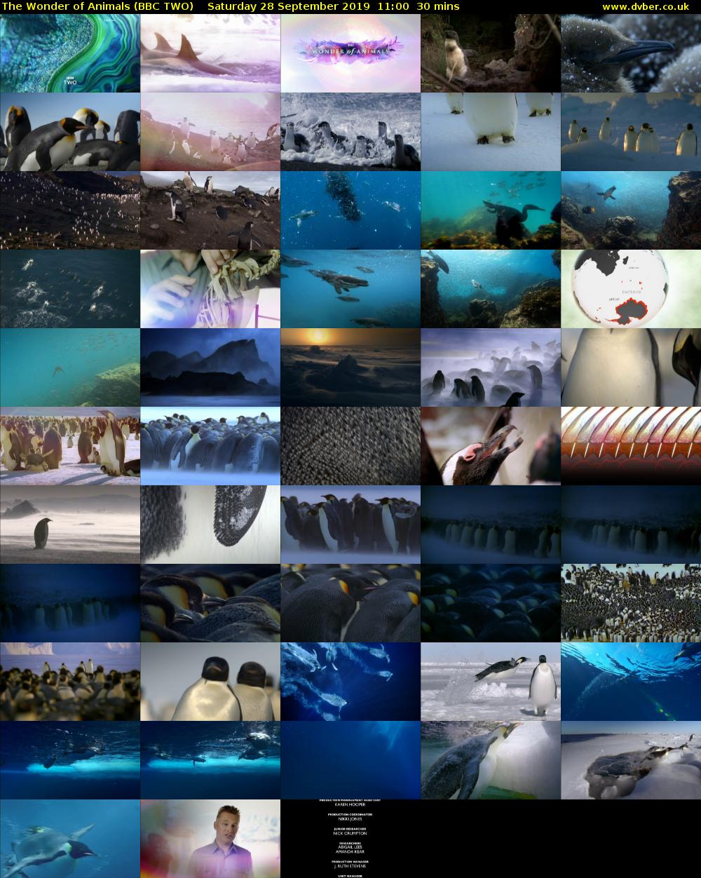 The Wonder of Animals (BBC TWO) Saturday 28 September 2019 11:00 - 11:30