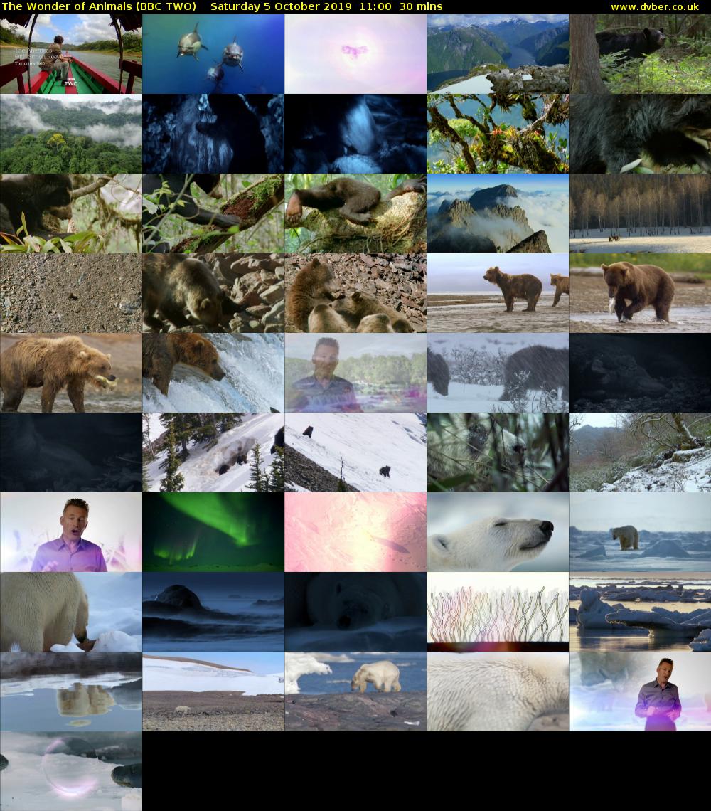 The Wonder of Animals (BBC TWO) Saturday 5 October 2019 11:00 - 11:30