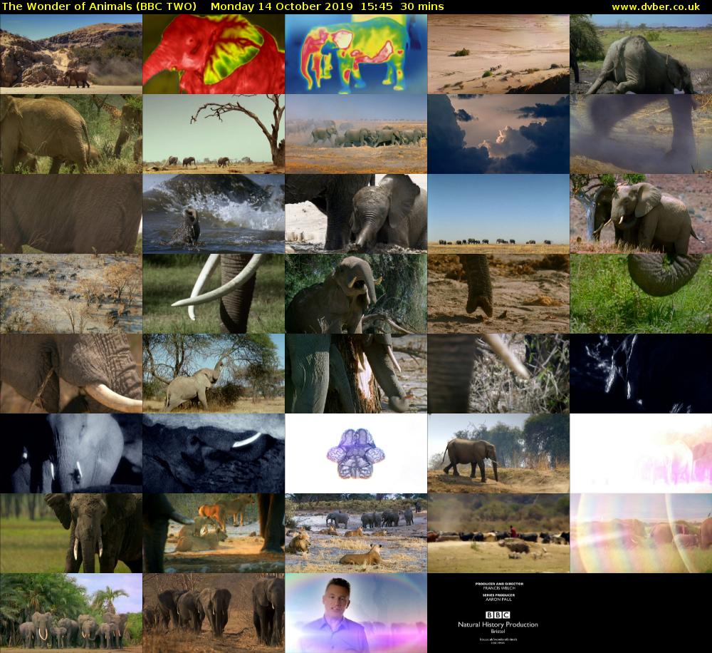 The Wonder of Animals (BBC TWO) Monday 14 October 2019 15:45 - 16:15