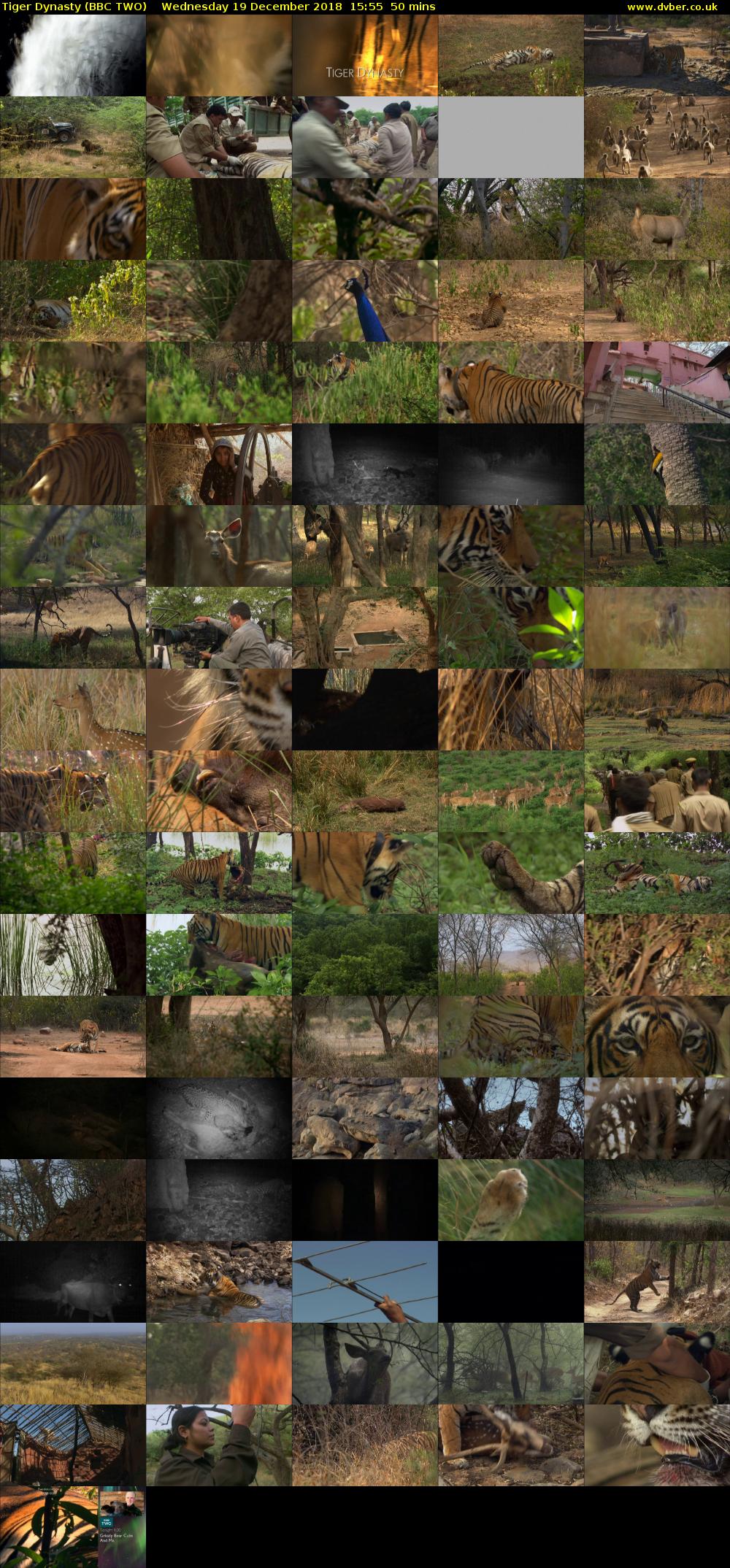 Tiger Dynasty (BBC TWO) Wednesday 19 December 2018 15:55 - 16:45